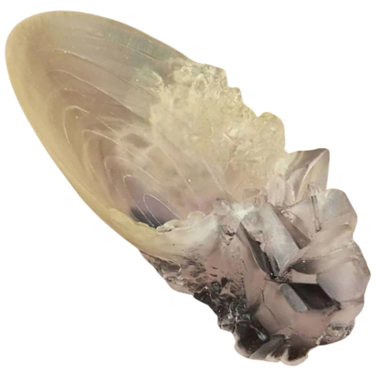 Copa de cristal de Harry Potter