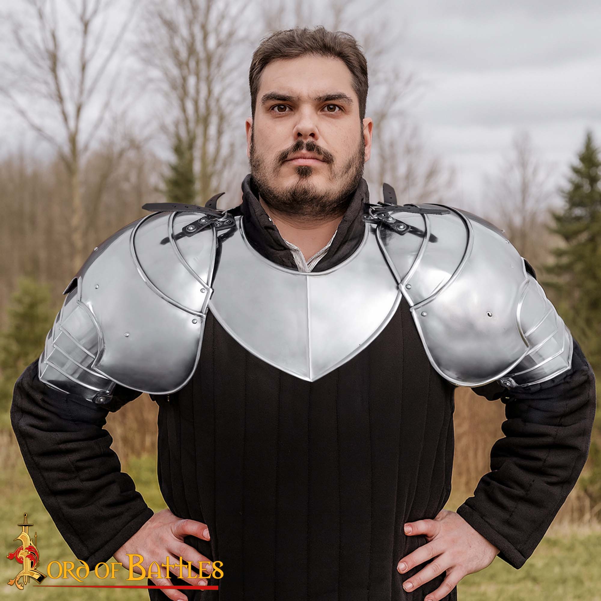 Medieval Articulated Steel Pauldrons - Fantasy Knight Shoulder Protection Armor - Imagen 9