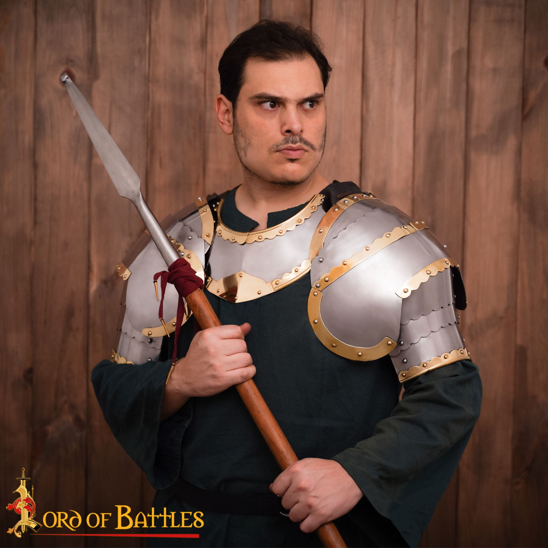 Húsar Gorget Armadura de Placas con Latón de Calibre 16 - Imagen 5