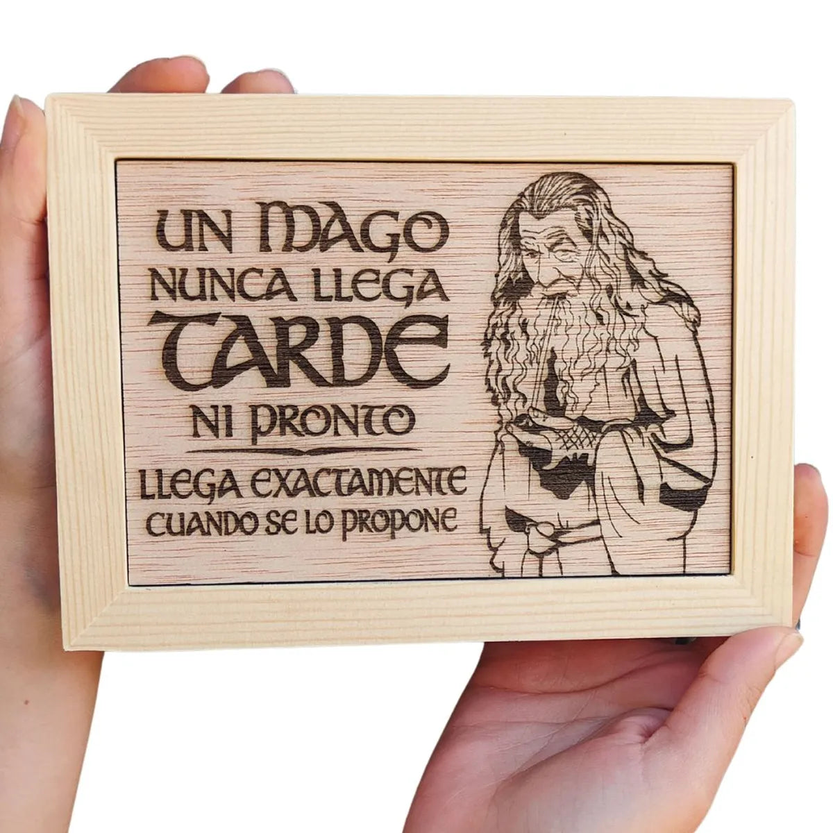 Cartel Decorativo Gandalf El Señor de los Anillos