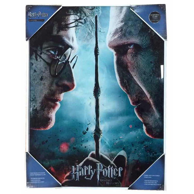 Imagen 1 - Poster Cristal Voldemort Vs Harry Potter