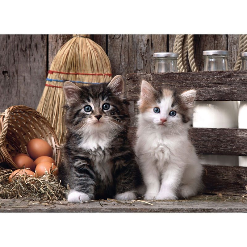 Imagen 1 - Puzzle Lovely Kittens 1000Pzs