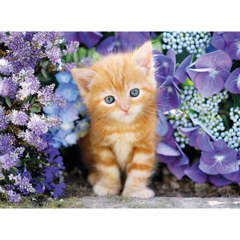 Imagen 1 - Puzzle Gato Rubio Con Flores 500Pzs