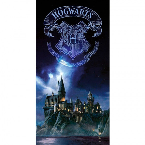 Imagen 1 - Poster Cristal Hogwarts Harry Potter