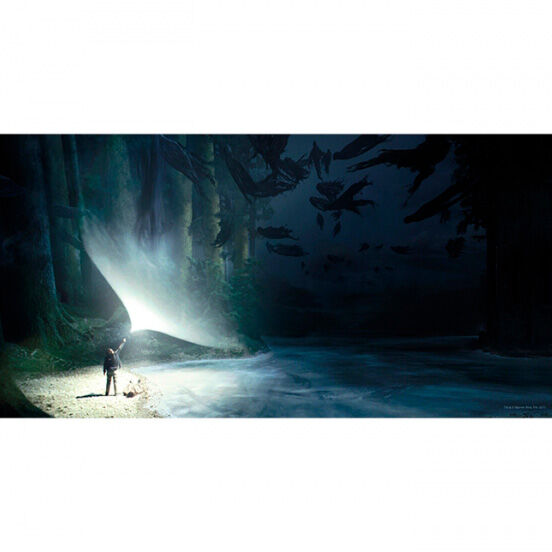 Imagen 1 - Poster Cristal Expecto Patronum Harry Potter