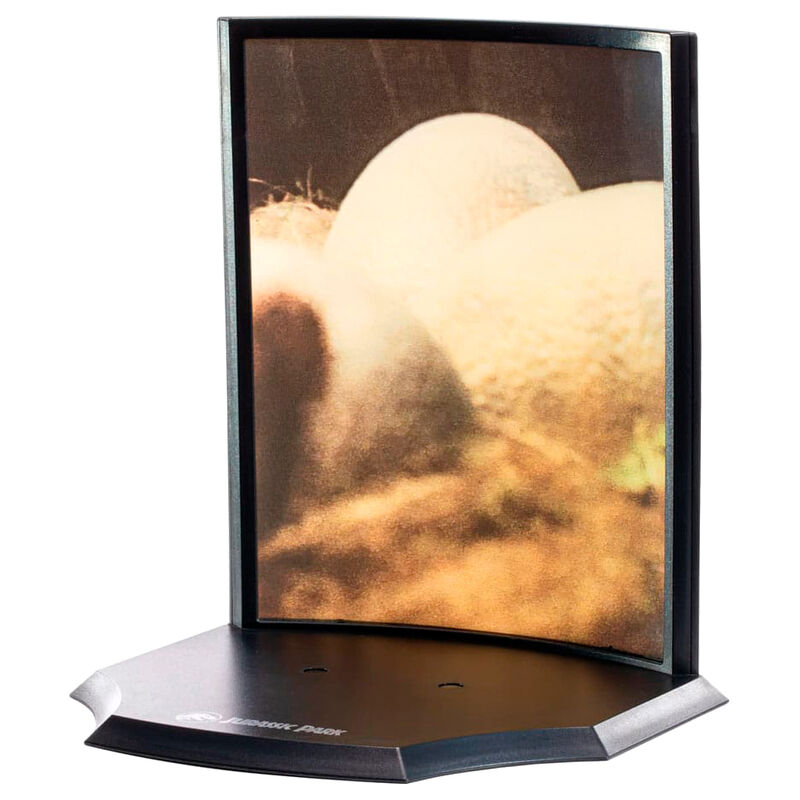 Imagen 2 - Estatua Raptor Egg Jurassic Park 12Cm