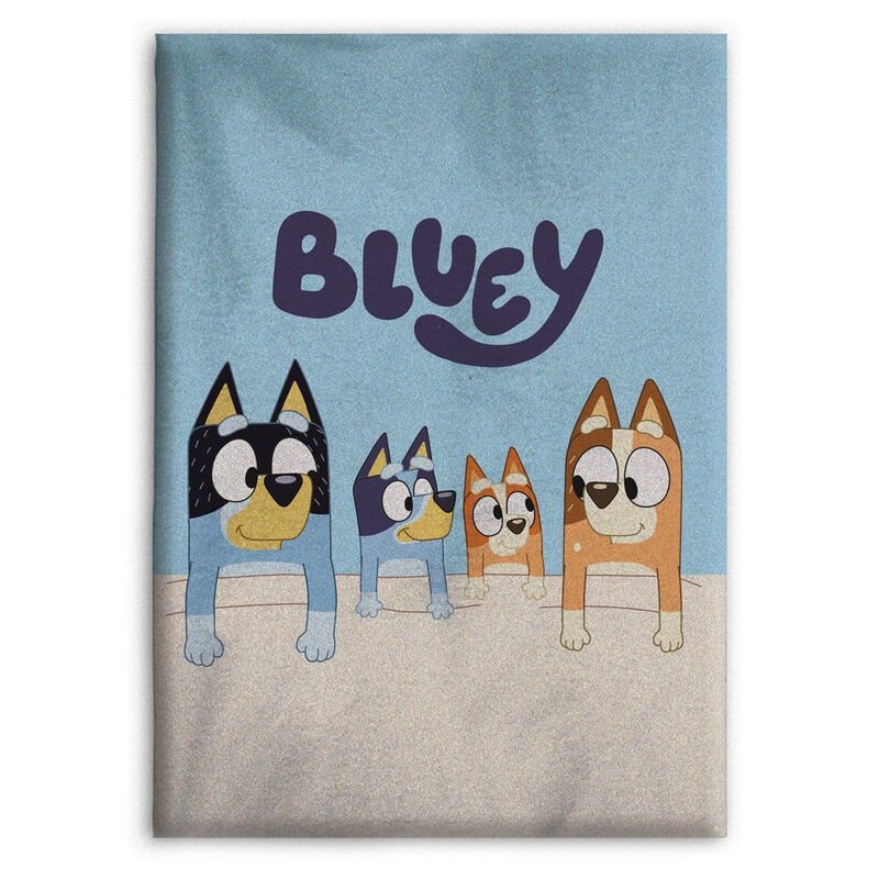 Imagen 1 - Manta Polar Bluey