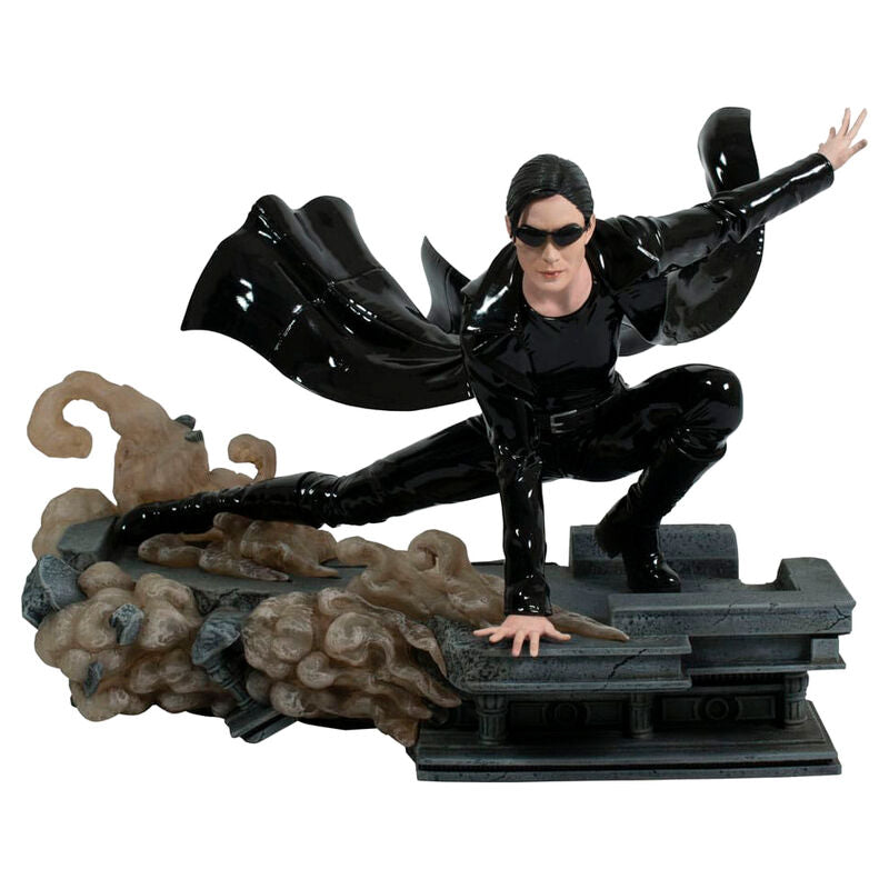 Imagen 1 - Figura Trinity The Matrix Gallery Deluxe 25Cm