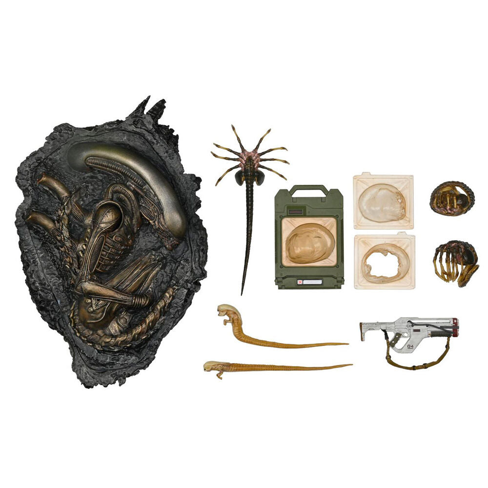 Imagen de Accesorios Alien Romulus 10Pzs parte de nuestra colección en Espadas y más, sitio oficial.