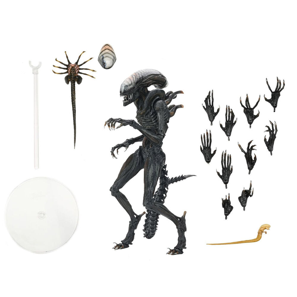 Imagen 2 - Figura Ultimate Scorched Xnomorph Alien Romulus 23Cm