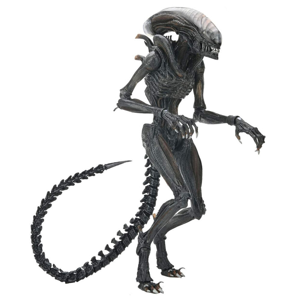 Imagen 4 - Figura Ultimate Scorched Xnomorph Alien Romulus 23Cm