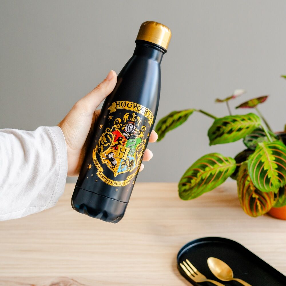 Imagen 7 - Botella Acero Inoxidable Hogwarts Harry Potter 500Ml
