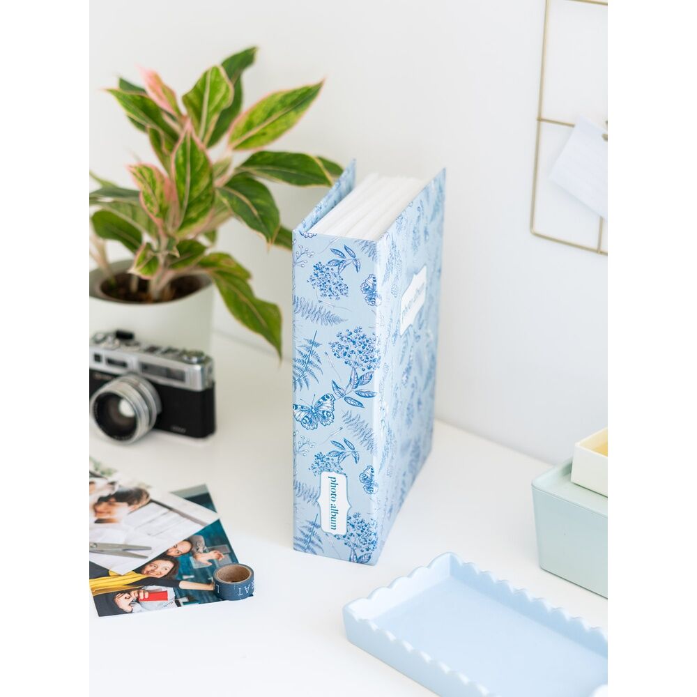 Imagen 4 - Album De Fotos Botanica Azul