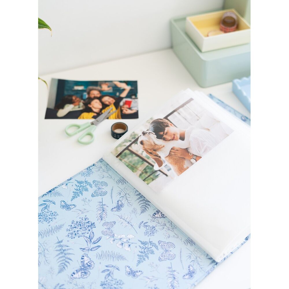 Imagen 6 - Album De Fotos Botanica Azul