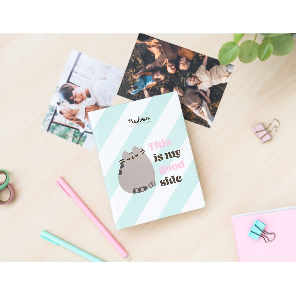 Imagen 6 - Album De Fotos Pusheen