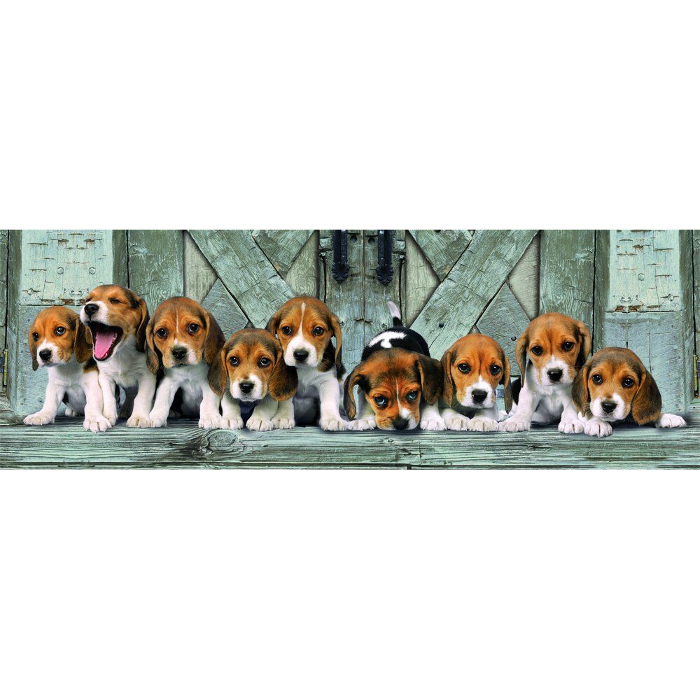 Imagen 1 - Puzzle Panorama Beagles High Quality 1000Pzs
