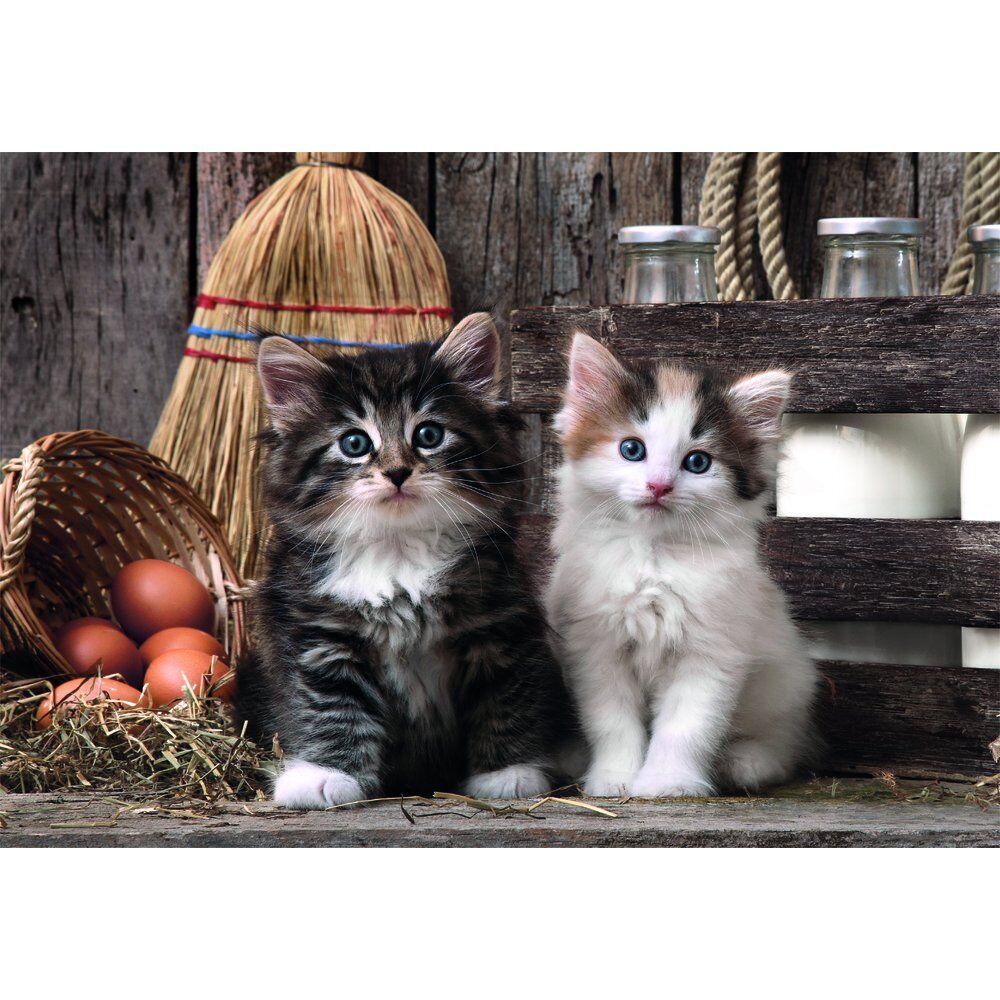 Imagen 1 - Puzzle Lovely Kittens High Quality 1000Pzs