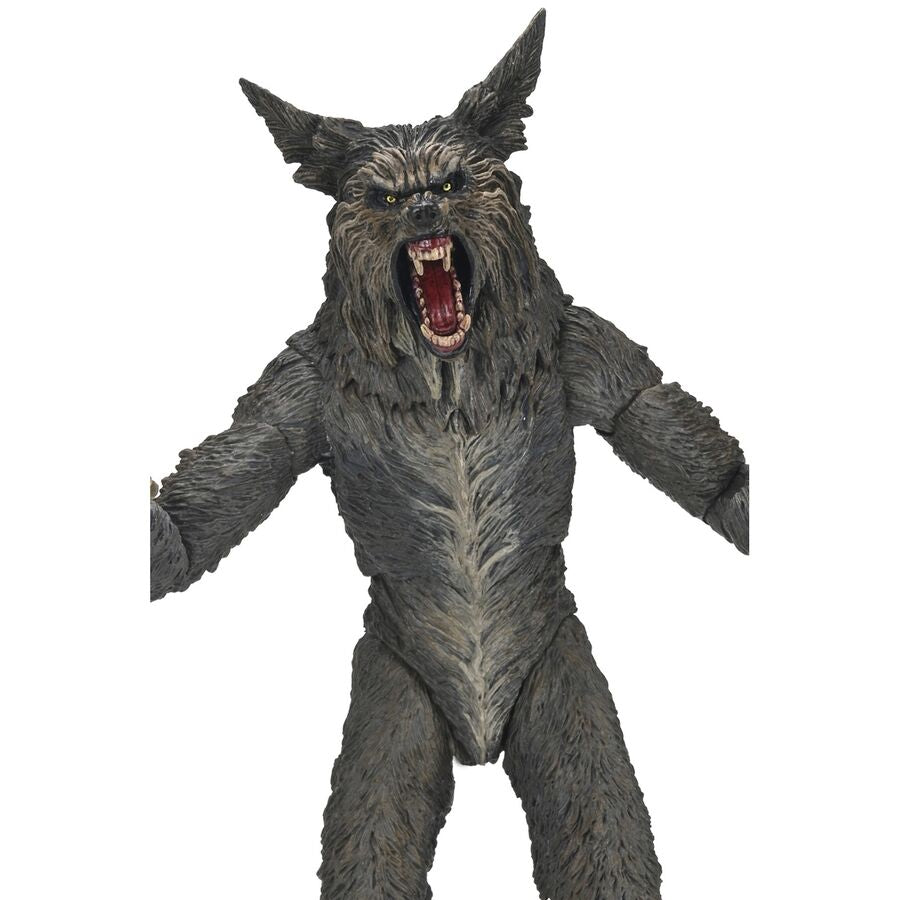 Imagen 4 - Figura Ultimate Werewolf The Howling 18Cm