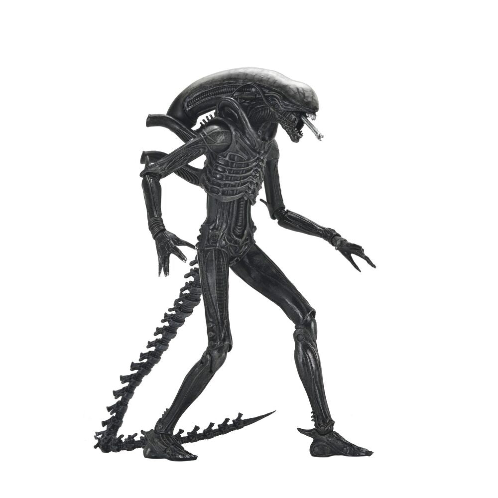 Imagen 3 - Figura Ultimate Xenomorph Alien: Romulus 18Cm