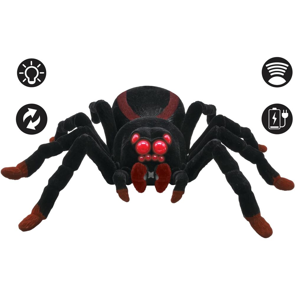 Imagen 3 - Tarantula Radio Control