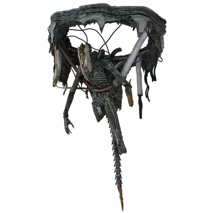 Imagen 4 - Figura Deluxe Suspended Lab Xenomorph Alien Romulus 18Cm