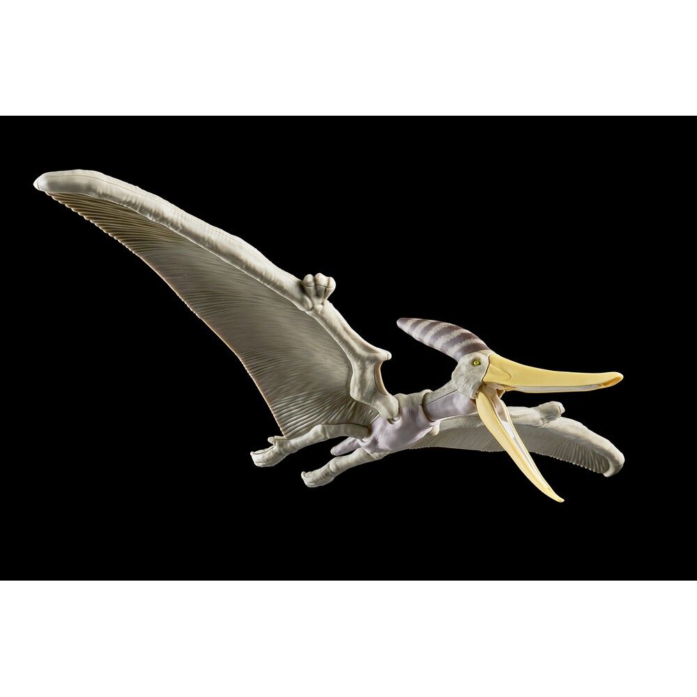 Imagen 2 - Figura Model Kit Pteranodon Plannosaurus