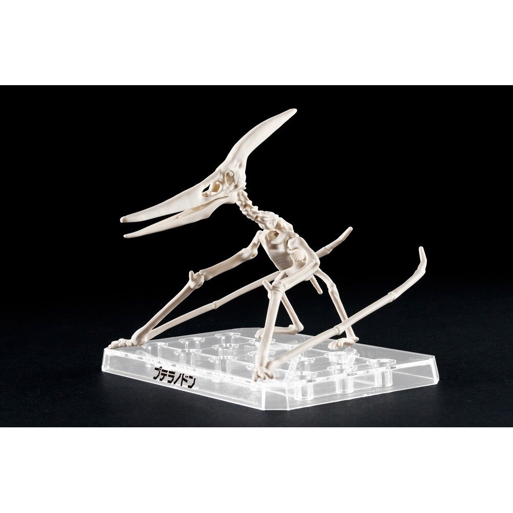 Imagen 4 - Figura Model Kit Pteranodon Plannosaurus