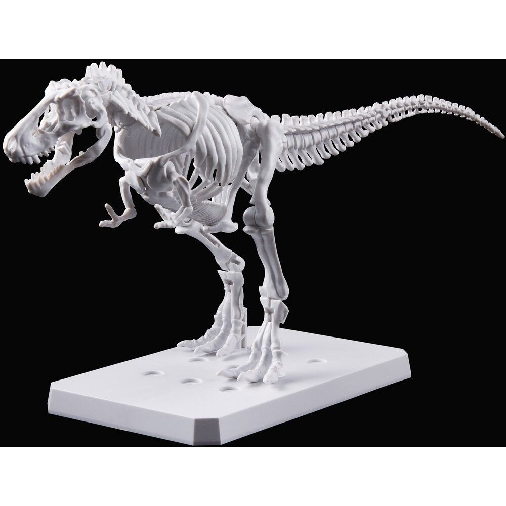 Imagen 5 - Figura Model Kit Tyrannosaurus Painting Version Plannosaurus