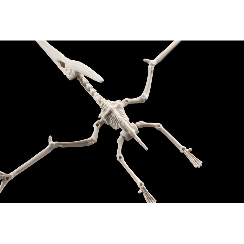 Imagen 6 - Figura Model Kit Pteranodon Plannosaurus