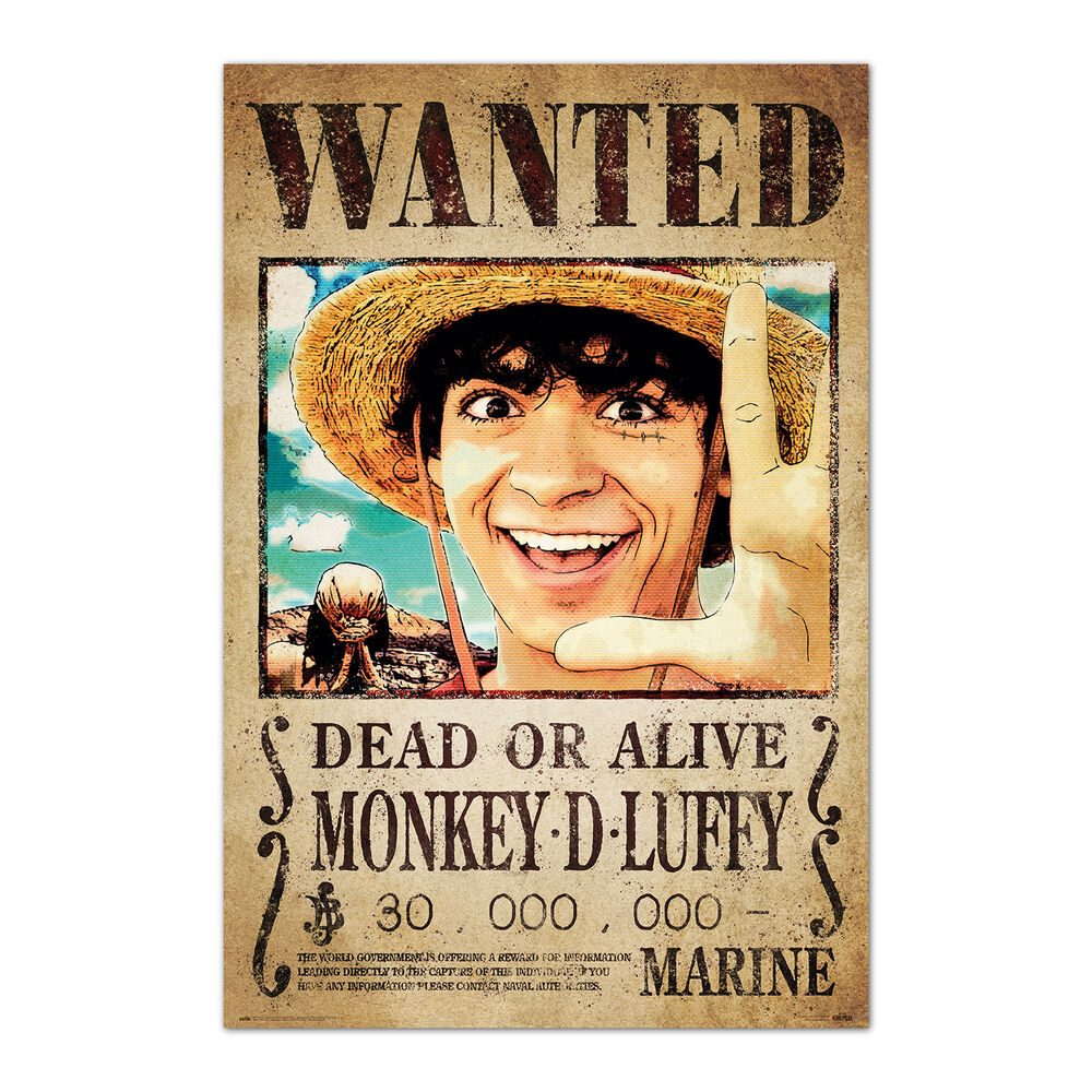 Imagen 1 - Poster Se Busca Monkey D. Luffy One Piece