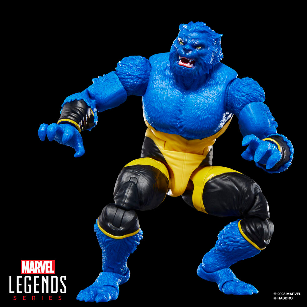 Imagen 6 - Figura Beast X-men Astonishing Marvel Legends Series 15Cm