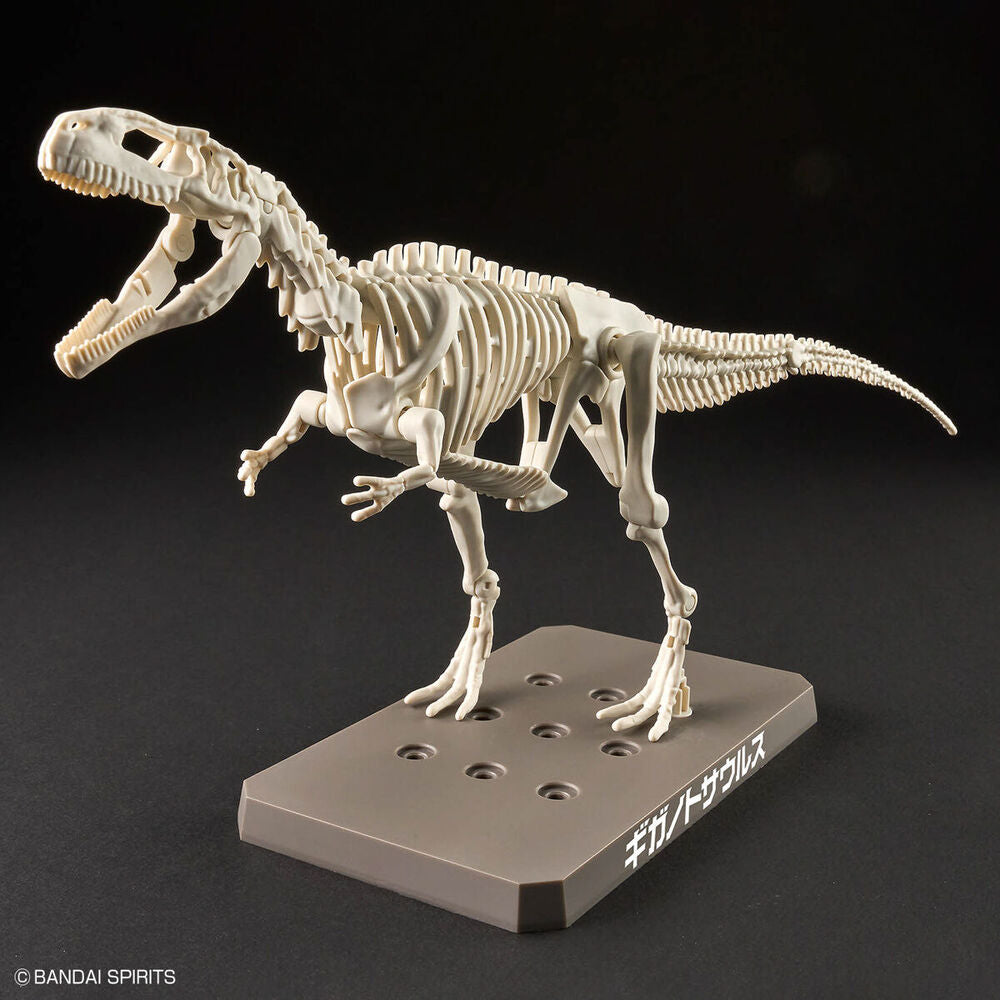 Imagen 3 - Maqueta Plannosaurus Giganotosaurus