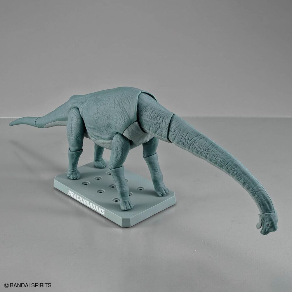 Imagen 2 - Maqueta Plannosaurus Brachiosaurus