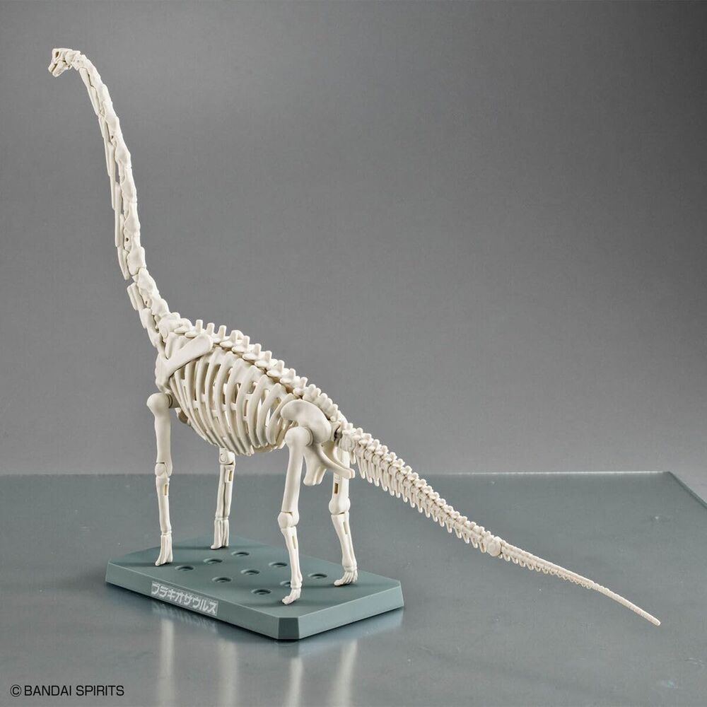 Imagen 4 - Maqueta Plannosaurus Brachiosaurus