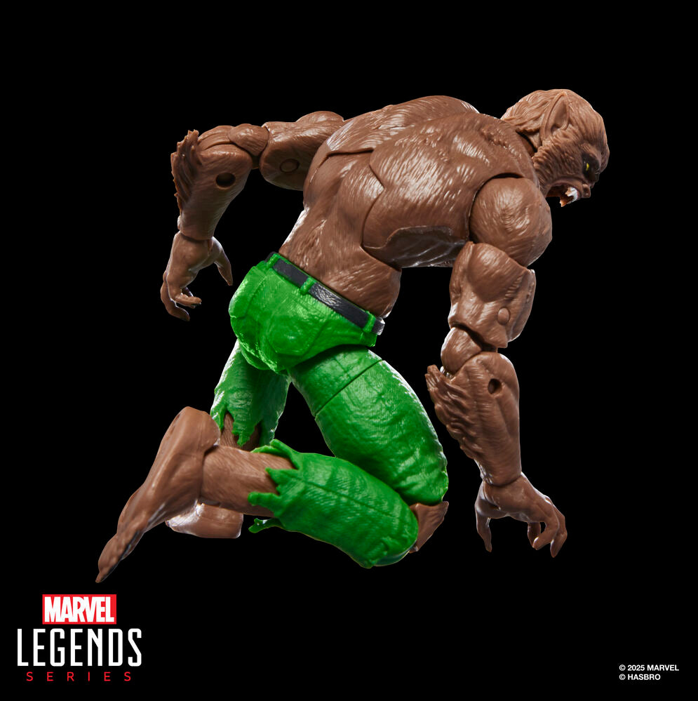 Imagen 2 - Figura Werewolf By Night Marvel Legends Series 15Cm