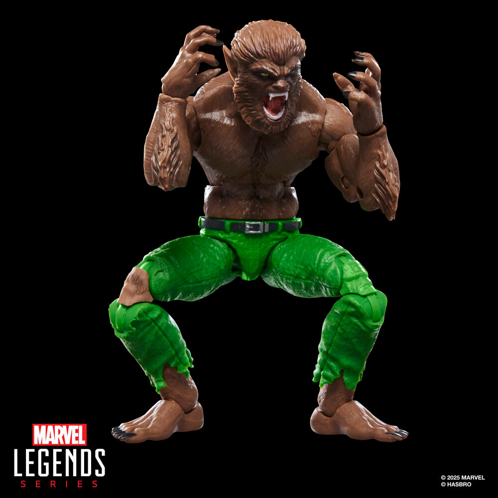 Imagen 4 - Figura Werewolf By Night Marvel Legends Series 15Cm