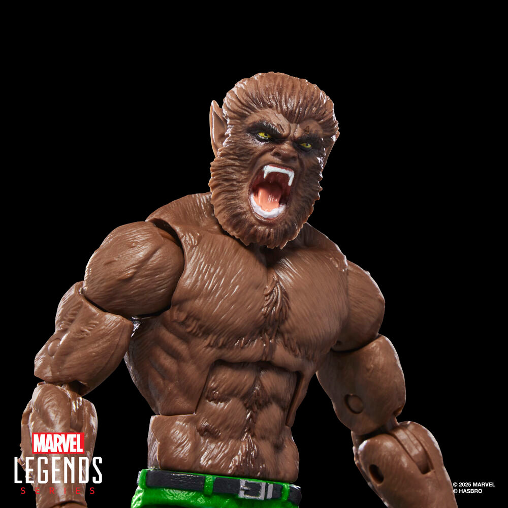 Imagen 6 - Figura Werewolf By Night Marvel Legends Series 15Cm