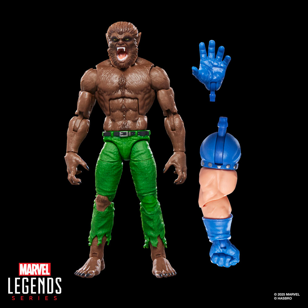 Imagen 7 - Figura Werewolf By Night Marvel Legends Series 15Cm
