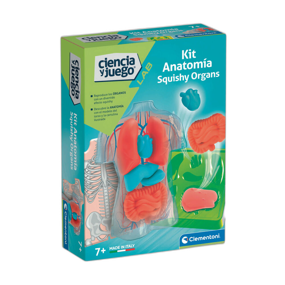 Imagen 1 - Kit Anatomia Squishy Organs