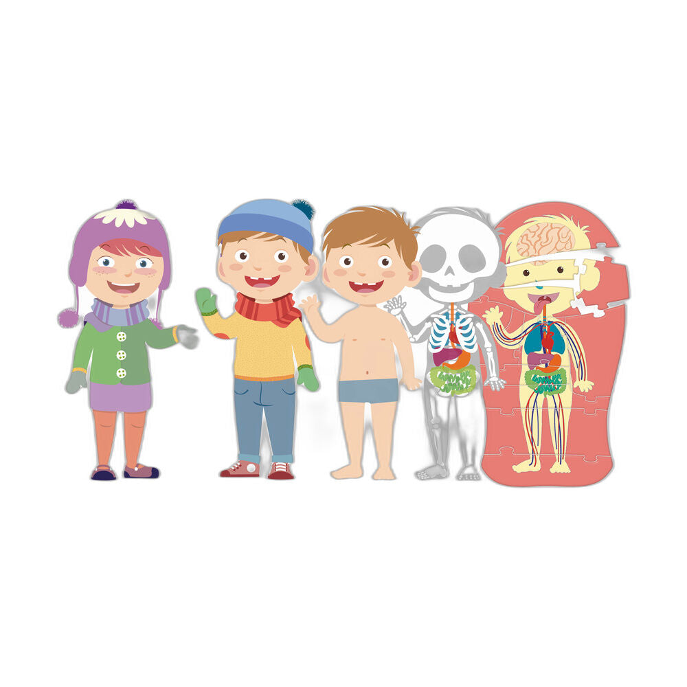 Imagen 2 - El Cuerpo Humano