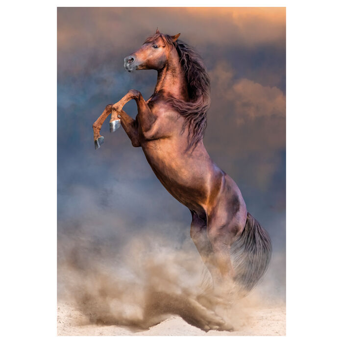 Imagen 2 - Puzzle Caballo 500Pzs