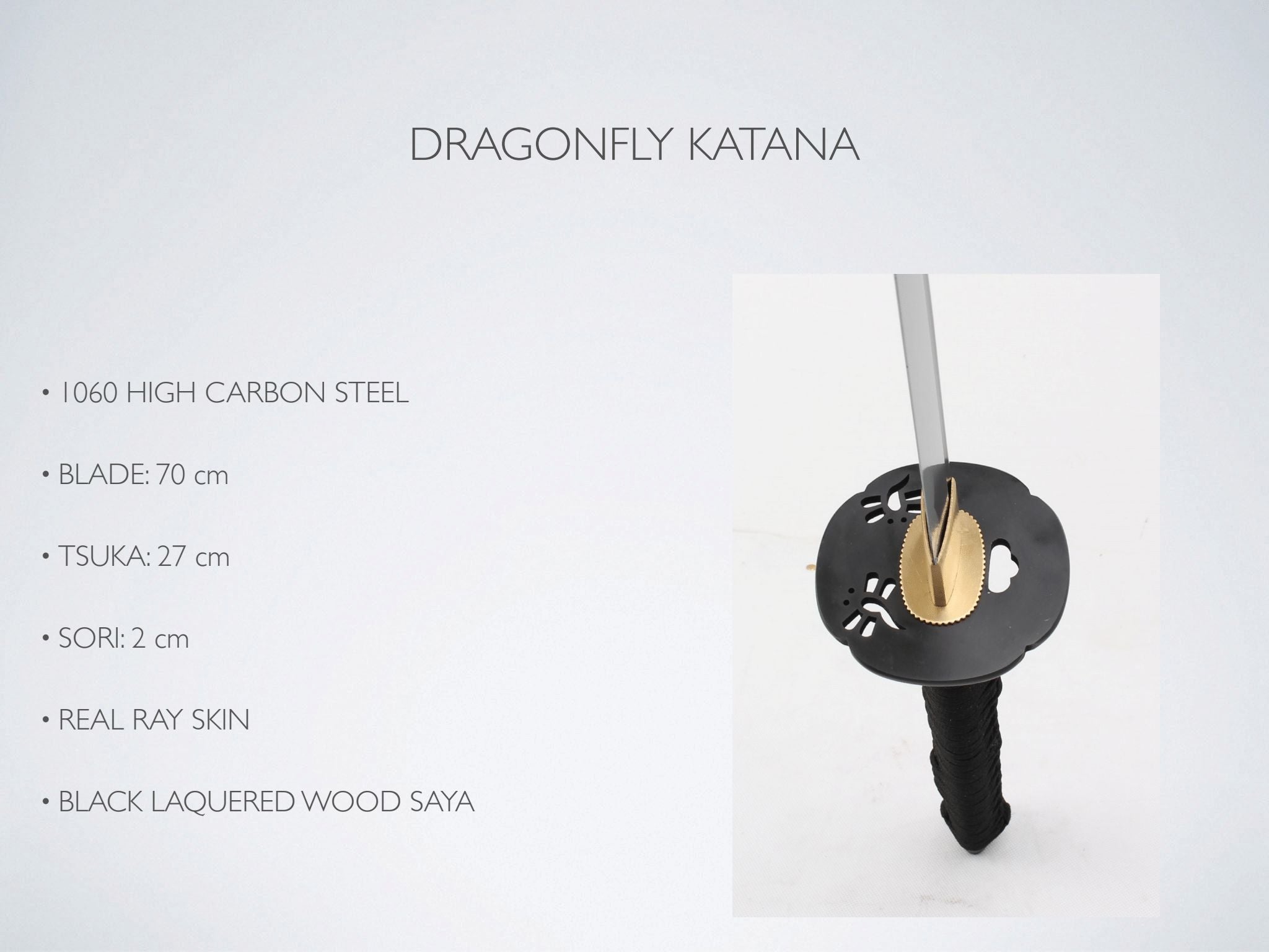 Katana YariNoHanzo Practica Dragonfly
