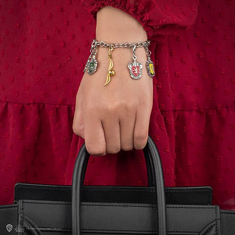 Charm casas de Hogwarts - Harry Potter CR3104 - Espadas y Más