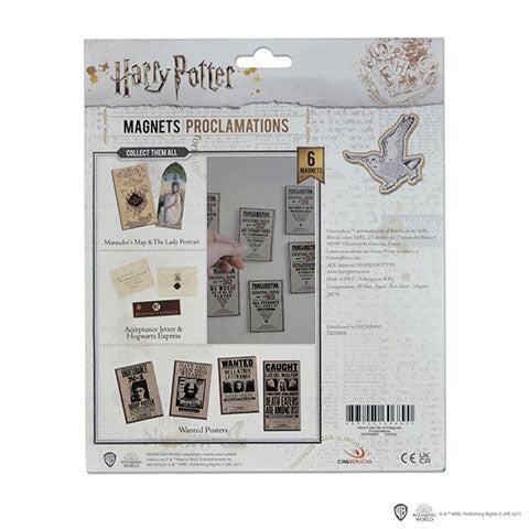 Imagen de Set de 6 imanes Decretos - Harry Potter DO5005 parte de nuestra colección en Espadas y más, sitio oficial.