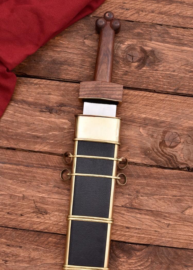Imagen de Gladius de Delos, con vaina 0116421500 parte de nuestra colección en Espadas y más, sitio oficial.