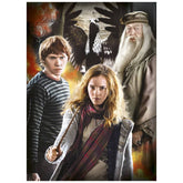 Set 3 puzzles Personajes Harry Potter 3x1000pz - Espadas y Más