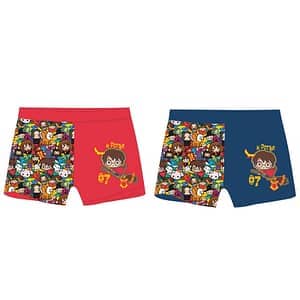 Imagen de Bañador Boxer Harry Potter Surtido parte de nuestra colección en Espadas y más, sitio oficial.