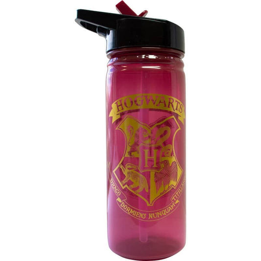 Botella Hogwarts Harry Potter 600ml - Espadas y Más