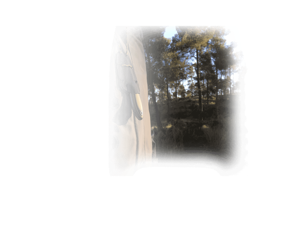 Imagen de Cuchillo Bushcraft Joker Bs 9 Avispa.Cuchillo De Cuello, Acero Sandvik 14c28n, Mango Canvas Micarta, Hoja 8 Cm. Funda De Kydex. Cn117 parte de nuestra colección en Espadas y más, sitio oficial.