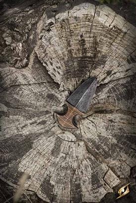 Imagen de SOFCOOMBAT daga de empuje-10cm 432319 parte de nuestra colección en Espadas y más, sitio oficial.